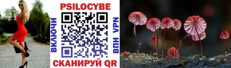 купить наркотик  Балтийск  Галлюциногенные грибы Cubensis 